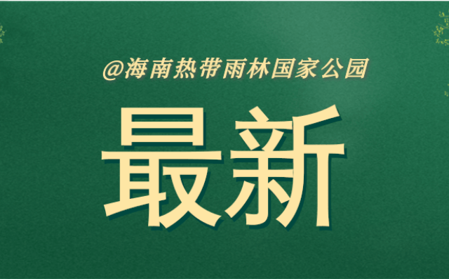 海南省林業局 海南省自然資源和規劃廳公開通報5起破壞森林資源典型案例